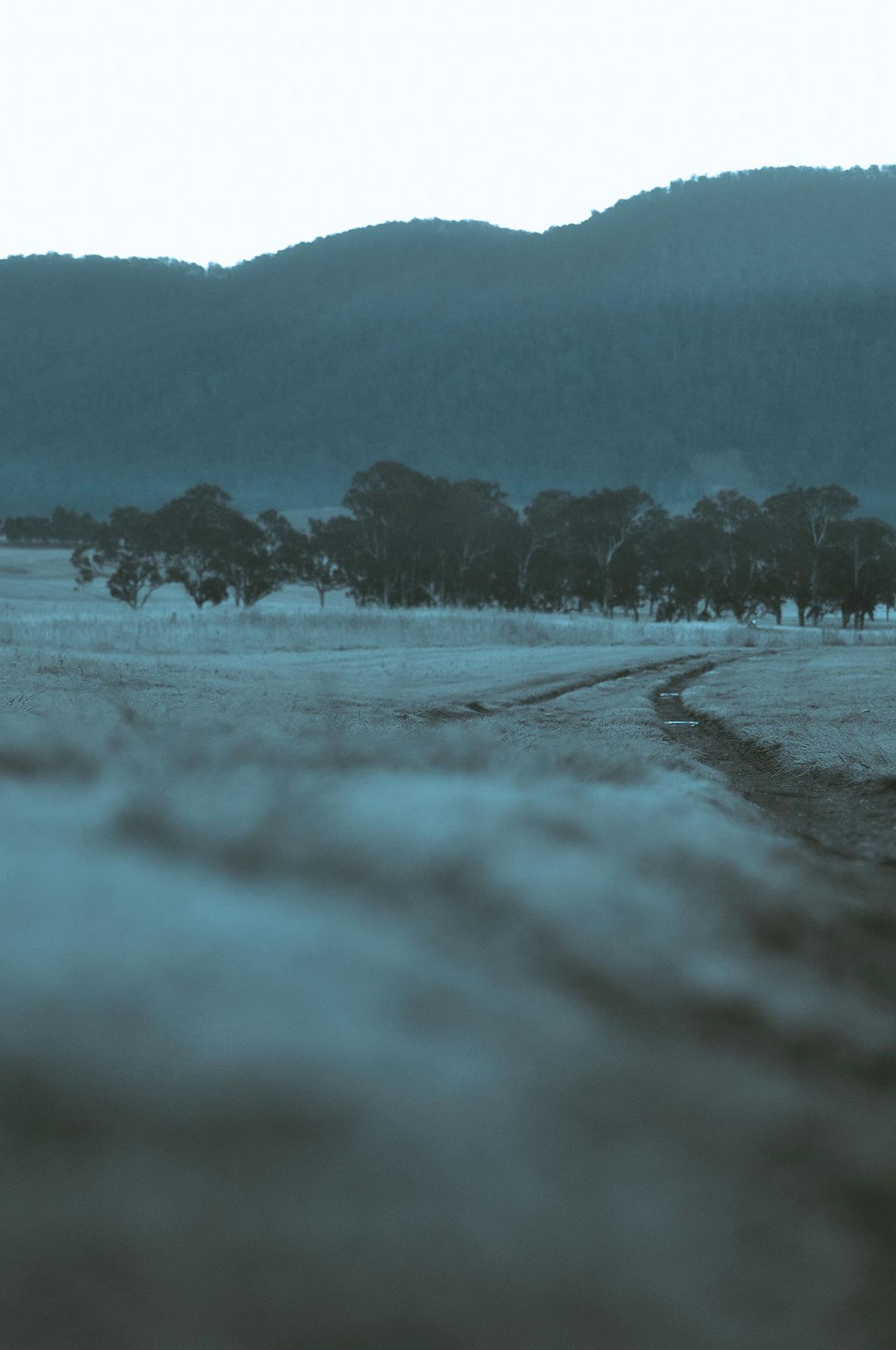 Cinematic Melbourne landscape
