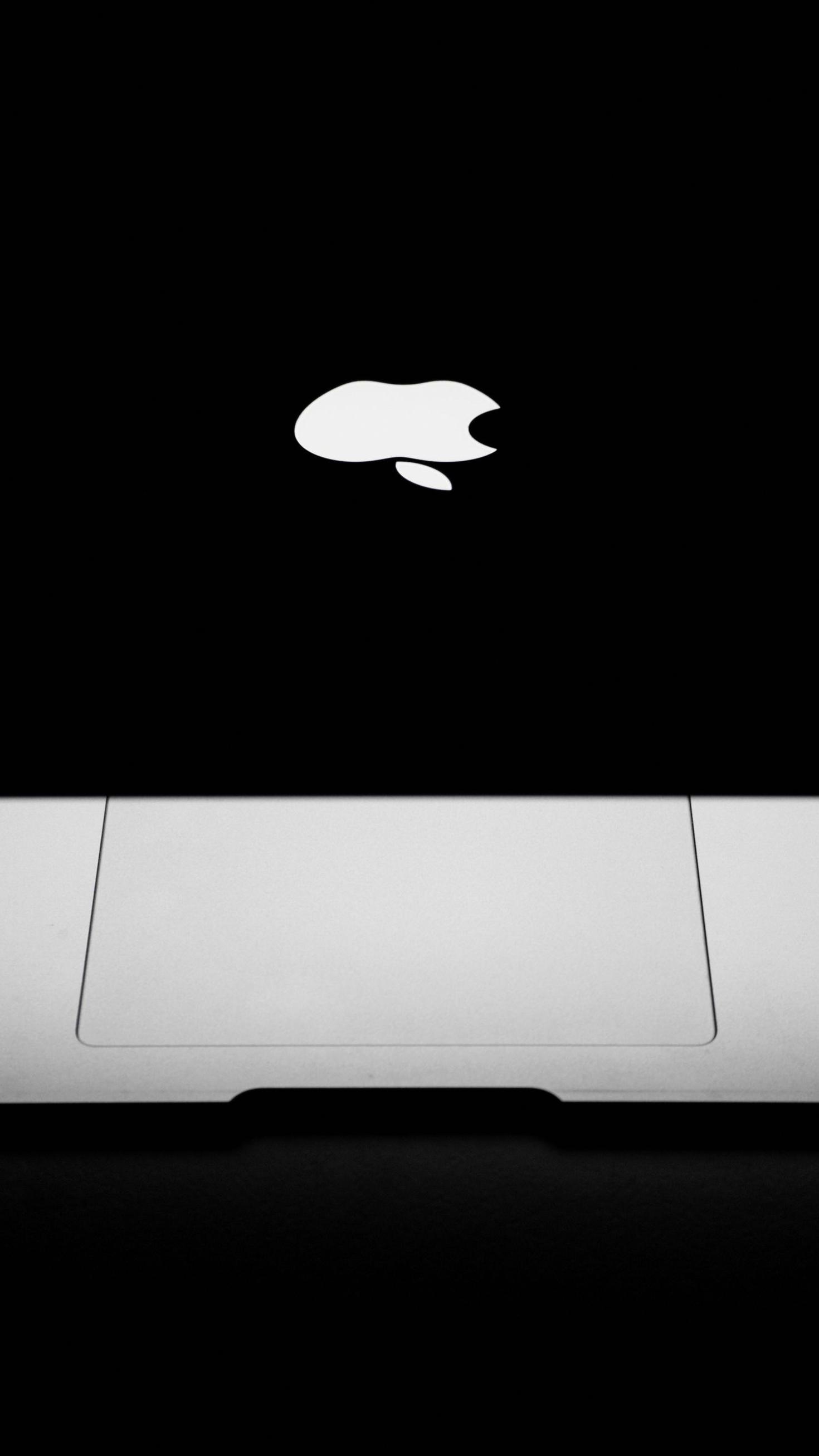 Media Brand
